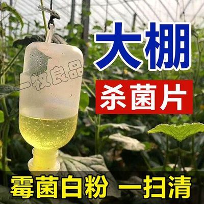 大棚空气消毒片大棚消毒杀菌大棚温室熏蒸消毒泡腾片霉菌病白粉病