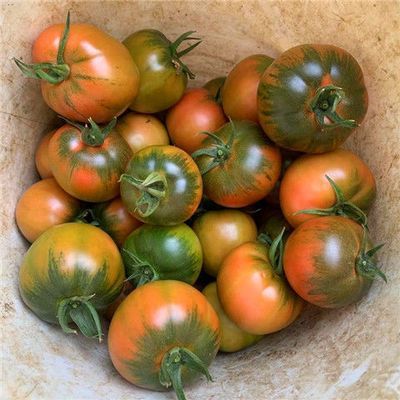 草莓柿子铁皮西红柿孕妇番茄沙瓤西红柿自然成熟酸甜包邮学生正宗