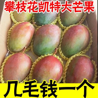 【假一赔十】芒果10斤装整箱批发价攀枝花凯特芒果新鲜水果大青