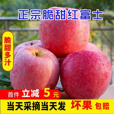 【超脆甜】特级应季冰糖心红富士丑苹果批发价新鲜水果类当季整箱
