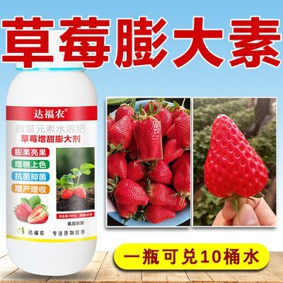 草莓专用膨大素硬果拉长着色剂膨果特大催红催花高产增产叶面肥料