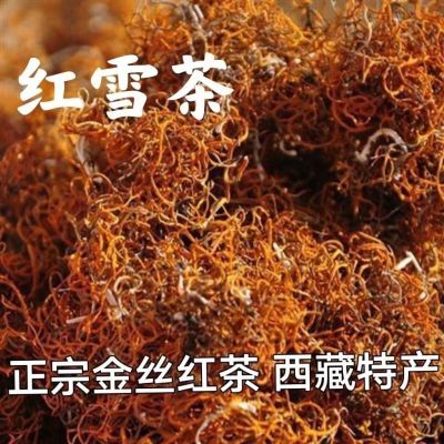 红雪茶包邮西藏特级野生红血茶中药材金刷把金丝血红茶纯天然优质