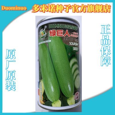 罐装西葫芦种子油绿杂交耐热耐寒西葫芦小瓜三月瓜小青瓜蔬菜种籽