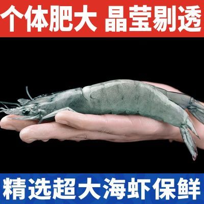 国联白虾整箱毛重4斤深海超大海虾16-19cm冷冻对虾水冻鲜活青大虾