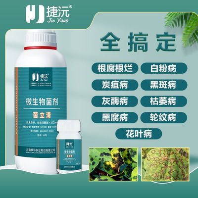 捷沅菌立清 新型微生物菌剂杀菌剂根腐灰霉病白粉病叶斑病疫菌清