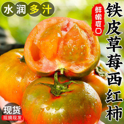 2024年铁皮柿子正宗草莓西柿子自然熟番茄水果新鲜西红柿生吃柿子