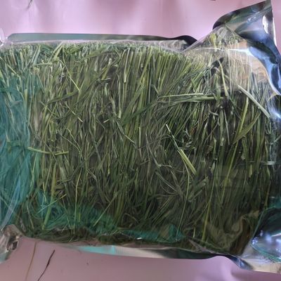 2024年SSS头茬提摩西草龙猫荷兰猪兔兔牧草新鲜烘干食用