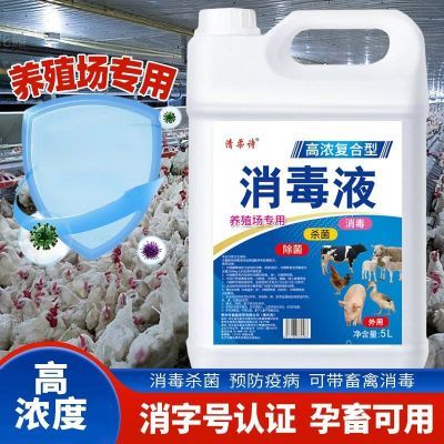 兽用养殖场消毒液猪牛羊圈鸡鸭鹅兔舍专用大桶装消毒水杀菌防瘟疫
