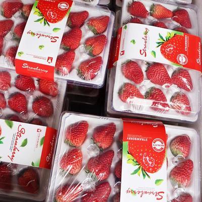 四川高原草莓新鲜红颜草莓孕妇水果奶茶烘培榨汁礼盒4盒装牛奶