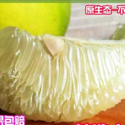 贵州松桃小香柚产地直发5-6斤装味微苦