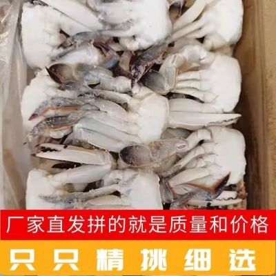 黄海野生新鲜冷冻梭子蟹切蟹块个大饱满蟹肉充盈火锅烧烤食材海鲜