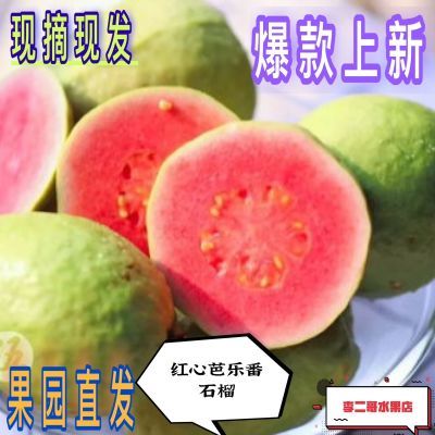 广西当季软心红心芭乐番石榴新鲜奶油水果香甜应季鸡屎果包邮