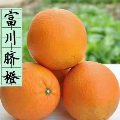 广西富川脐橙现摘原产地直发|10斤礼盒装|夏橙上市尝鲜薄皮