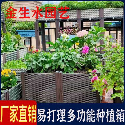 种植箱爬藤架种菜专用箱阳台种菜盆塑料花盆家用花架支架葡萄架