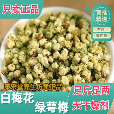 23年新货散结节茶白梅花绿萼梅茶白梅花茶新货精选无硫熏20/250克