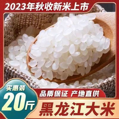 东北大米10斤黑龙江大米20斤珍珠米5kg稻花香米2023新米厂家直销