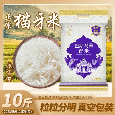 大米新米2023年新米正宗猫牙米泰国香米香米长粒香大米丝苗米食用