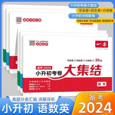 2024小学毕业小升初考卷大集结小升初冲刺新卷真题卷语文数学英语