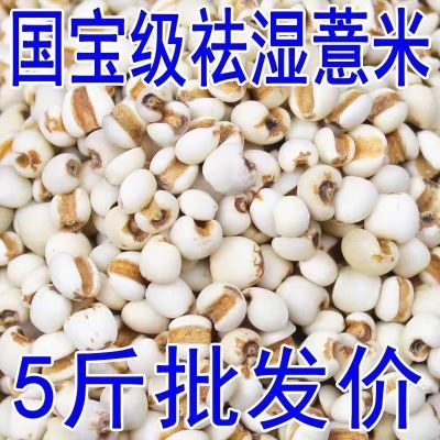 【太便宜了】23年贵州薏仁米新货特级薏米祛湿五谷杂粮批发价包邮