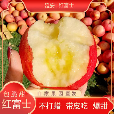 陕西延安洛川红富士苹果原产地新鲜水果整箱当季苹果4.5斤礼盒装