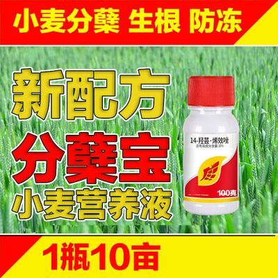 小麦分蘖宝14-烯效唑-强力防冻生根抗倒增有效厂家直销正品保