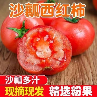 米易高山露天沙瓤西红柿新鲜沙瓤大番茄自然熟水果粉柿子有机整箱