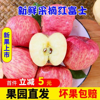 【爆甜】红富士苹果正宗特级不打蜡孕妇水果整箱批发农家果一整箱