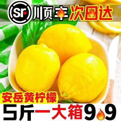 【次日达】四川安岳黄柠檬当季现货泡水整箱批发皮薄多汁新鲜水果
