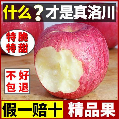 【拒绝假冒】洛川苹果陕西正宗红富士新鲜水果脆甜冰糖心10斤礼盒