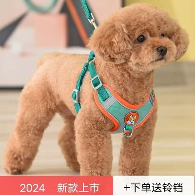 狗狗牵引绳背心式反光背带调节遛狗泰迪绳子比熊狗链中小型链子