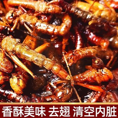 首单立减新鲜现做油炸蚂蚱去翅膀即食香辣零食 低脂肪高蛋白好货