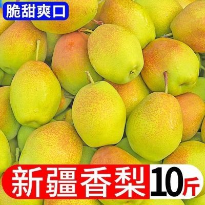 【脆甜】新疆香梨现摘库尔勒红香酥梨时令水果3/5/10斤整箱批发价