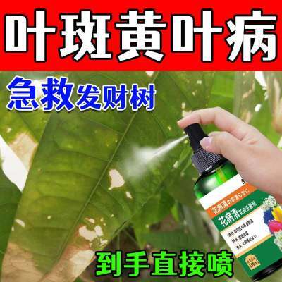 叶斑黄叶病发财树急救叶斑黑斑白粉病卷叶发粘杀菌通用家庭叶面肥