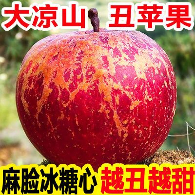 【冰糖心苹果】正宗大凉山丑苹果脆甜新鲜水果红富士苹果水果批发