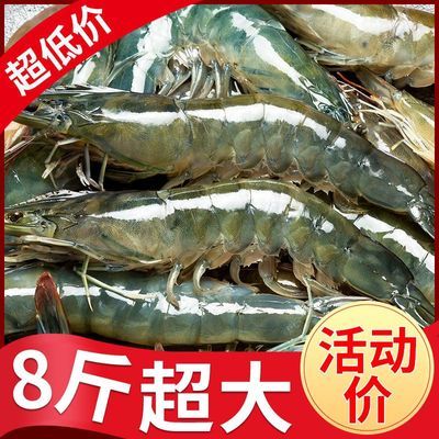 超大虾鲜活批发新鲜青岛特大虾子冷冻海虾青虾一整箱对虾海鲜水产