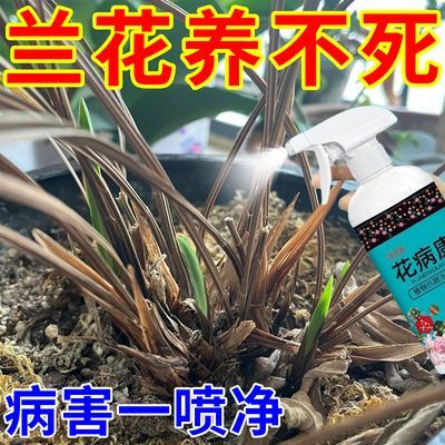 花病康植物花卉通用型花病康免稀释直喷型家庭园艺必备抗菌活性剂