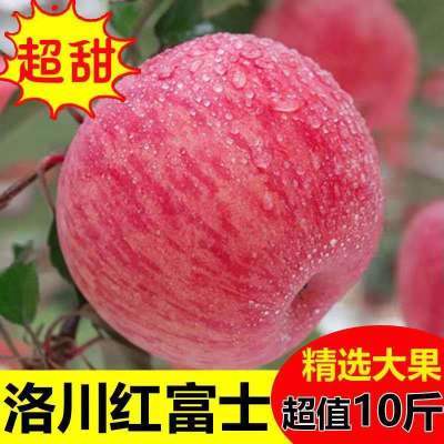 苹果产地直供水果批发陕西洛川红富士脆甜新鲜苹果包邮整箱一整箱
