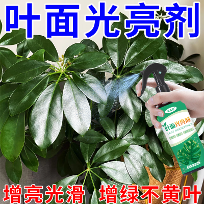 新款植物叶面光亮剂通用型增亮亮叶剂花卉除尘剂一喷绿叶面肥清洁