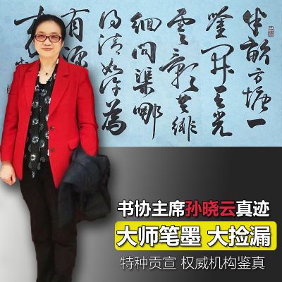 名家字画孙晓云中国书协主席书法真迹带机构鉴定证书挂画书房收藏