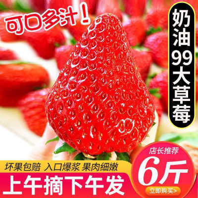 正宗新鲜草莓孕妇水果现摘牛奶味草莓大果超大草莓非丹东整箱包邮