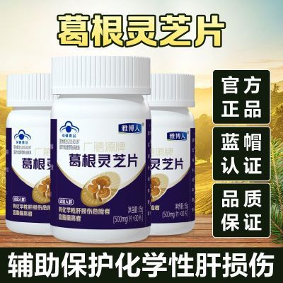 官方正品雅博人葛根灵芝片保健品辅助降血脂辅助保护化学性肝损伤