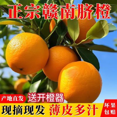 【果园现采】江西赣南脐橙新鲜橙子夏橙10斤整箱当季水果非果冻橙