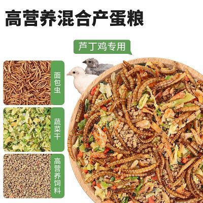 芦丁鸡饲料小鸡专用开口粮雏鸡产蛋饲料面包虫高蛋白小鹌鹑育雏粮