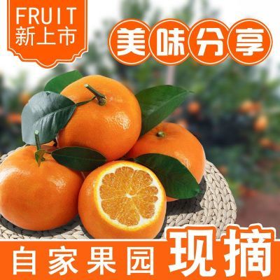 广西正宗沃柑当季新鲜应季水果桔子橘子孕妇水果现摘现发整箱