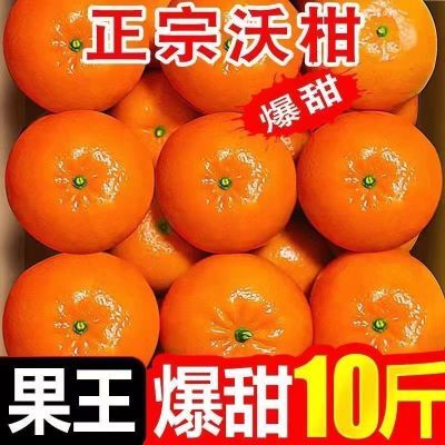 【正宗】广西沃柑当季直发新鲜水果超甜橘子大果砂糖蜜桔薄皮整箱