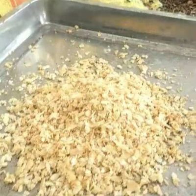 黑水虻种虫虫卵50克下单就发货,包教包会产卵技术优惠商品图片