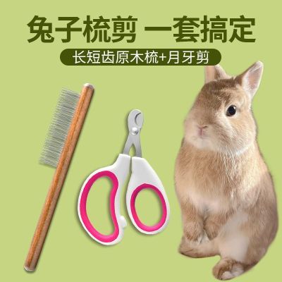 兔子指甲剪梳毛器套装新手必备仓鼠龙猫小宠专用梳子剪刀兔兔用品
