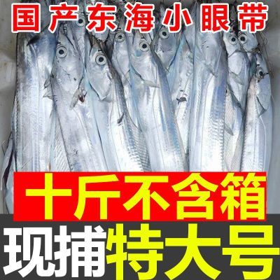 【精品特大】东海整条带鱼整条无冰新鲜冷冻整箱特级大刀鱼包邮