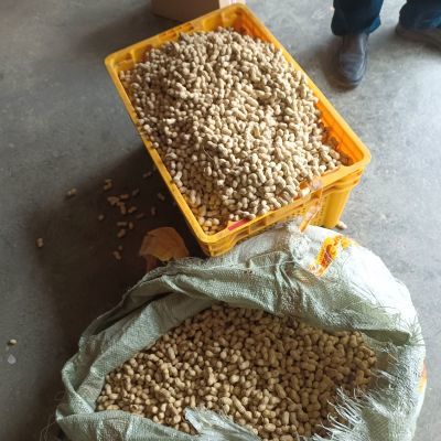 贵州铜仁印江独特特产两颗粒的带皮粉皮小花生2023年新货五斤