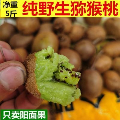 纯野生【长形】猕猴桃秦岭绿心小奇异果新鲜水果5斤现摘应季